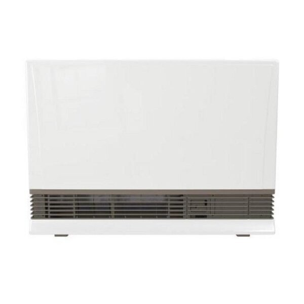 Rinnai EX38DTN CCY 38400 DIRECARBON TIPPED VENT WALL FURNACE CARBON TIPPED SERIES NG MAX